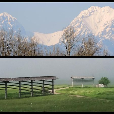 Mamut Stay Kamnik Exterior foto