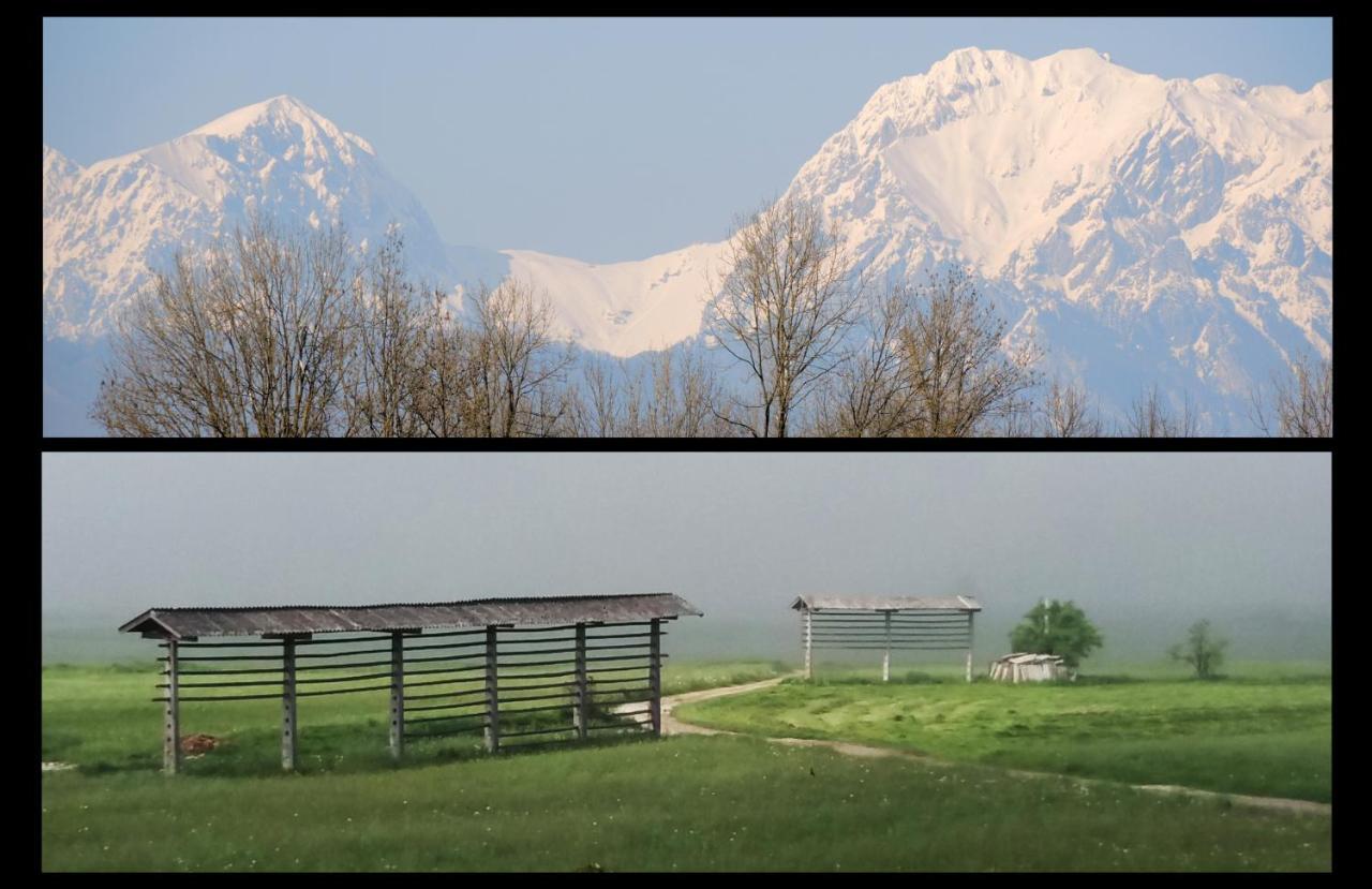 Mamut Stay Kamnik Exterior foto
